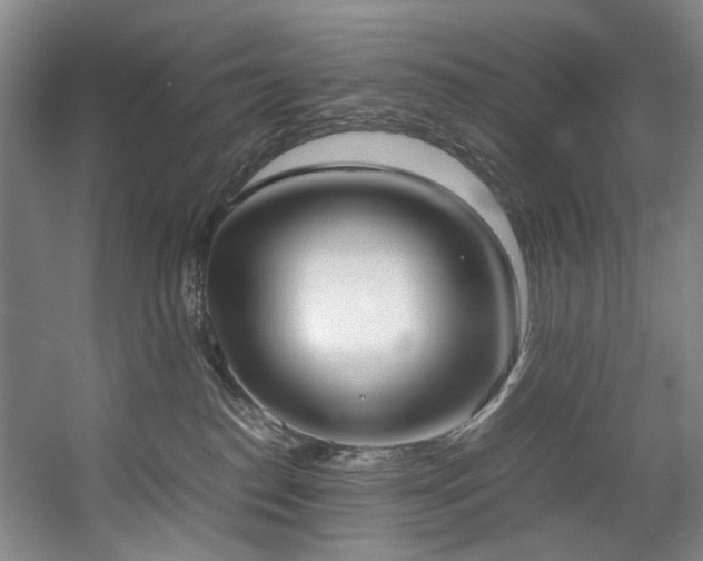 X0000057580186200509161111