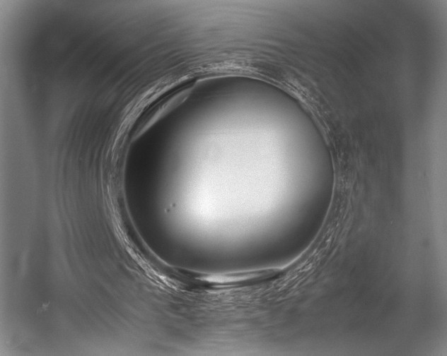 X0000057580193200509161111