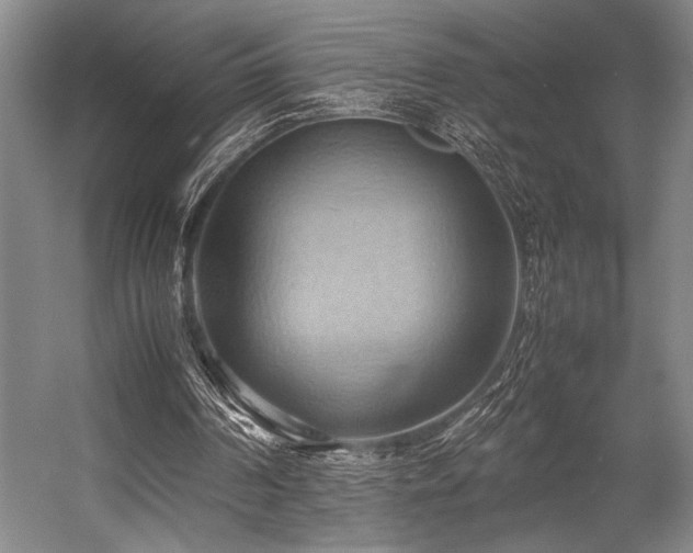 X0000057580194200509161111