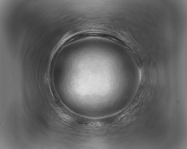 X0000057580195200509161111