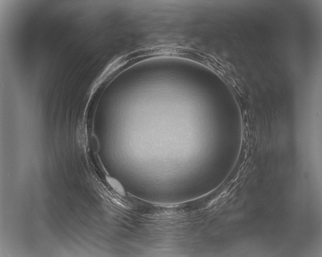 X0000057580198200509161111