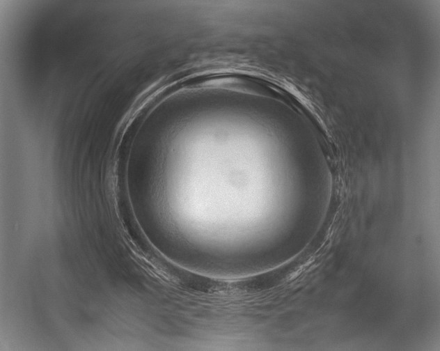 X0000057580199200509161111