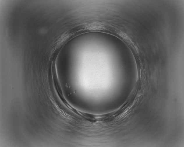 X0000057580201200509161111