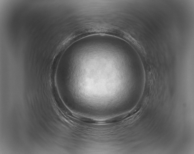 X0000057580203200509161111
