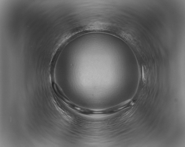 X0000057580204200509161111