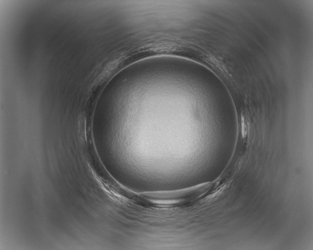 X0000057580205200509161111