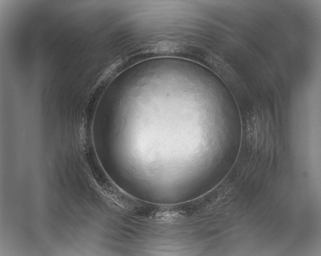 X0000057580208200509161110