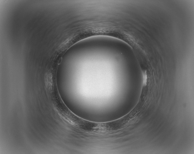 X0000057580211200509161110