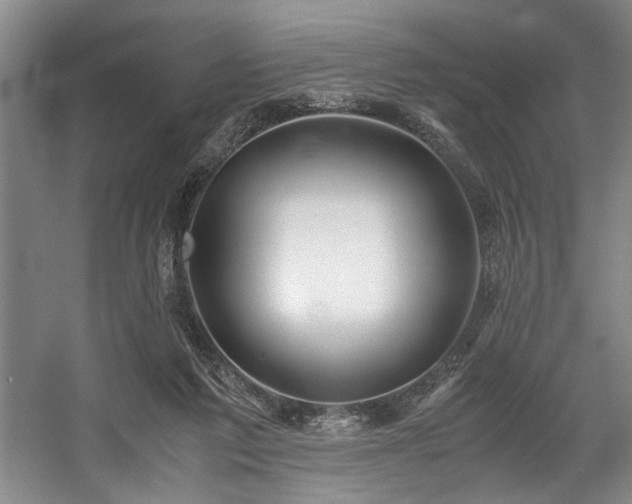 X0000057580213200509161110