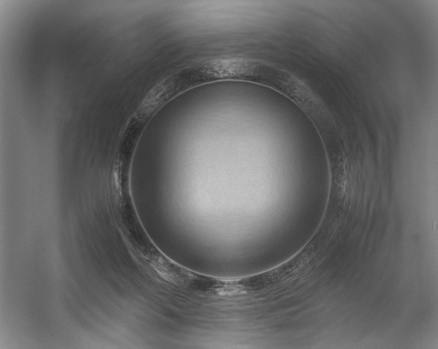 X0000057580214200509161110