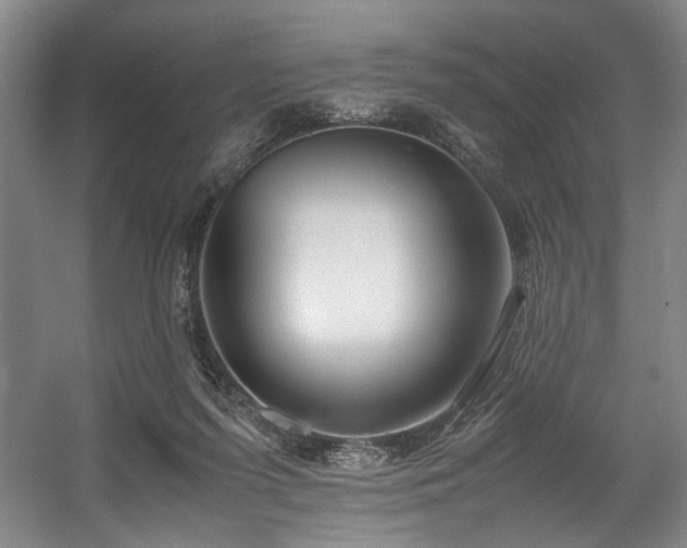 X0000057580215200509161110