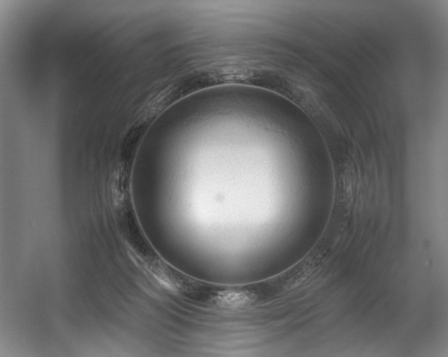 X0000057580218200509161110