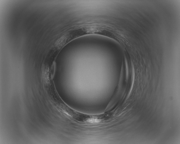 X0000057580219200509161110