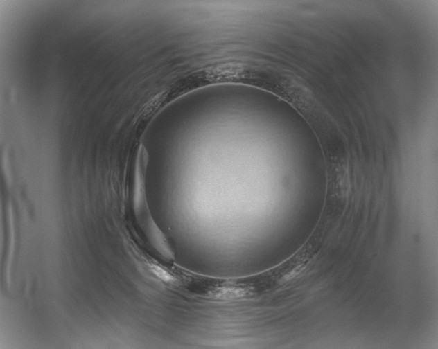 X0000057580224200509161110