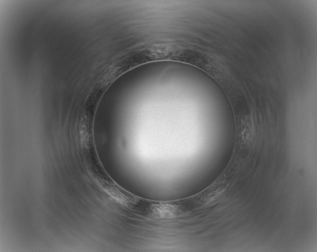 X0000057580226200509161110