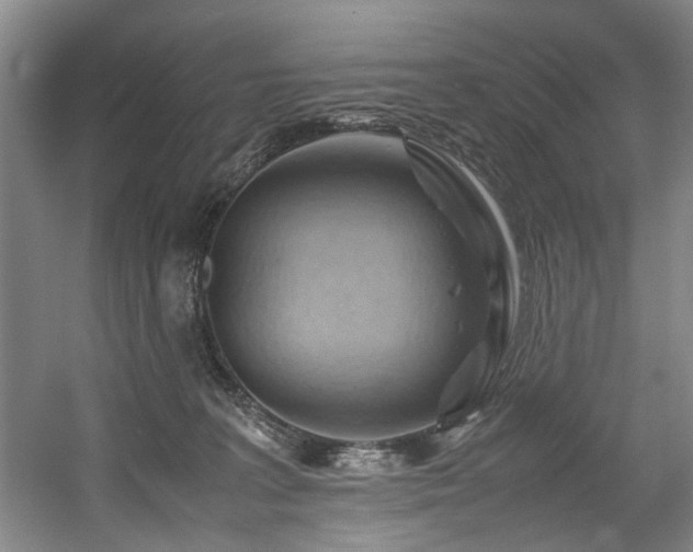 X0000057580227200509161110