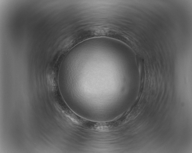 X0000057580228200509161110