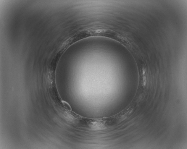 X0000057580232200509161110