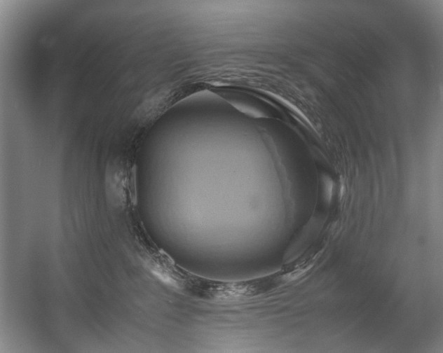 X0000057580235200509161110