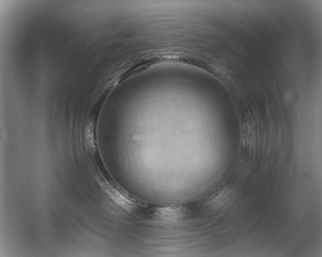 X0000057580238200509161110