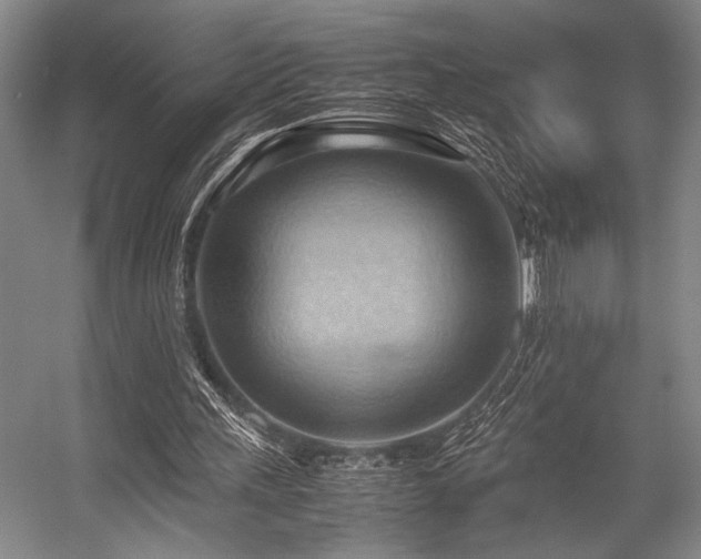 X0000057580243200509161109