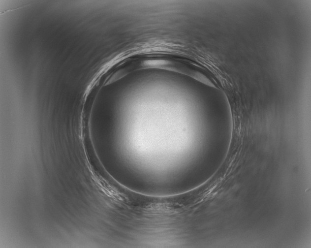 X0000057580244200509161109