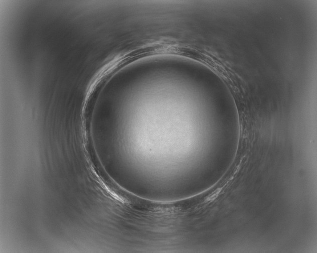 X0000057580245200509161109