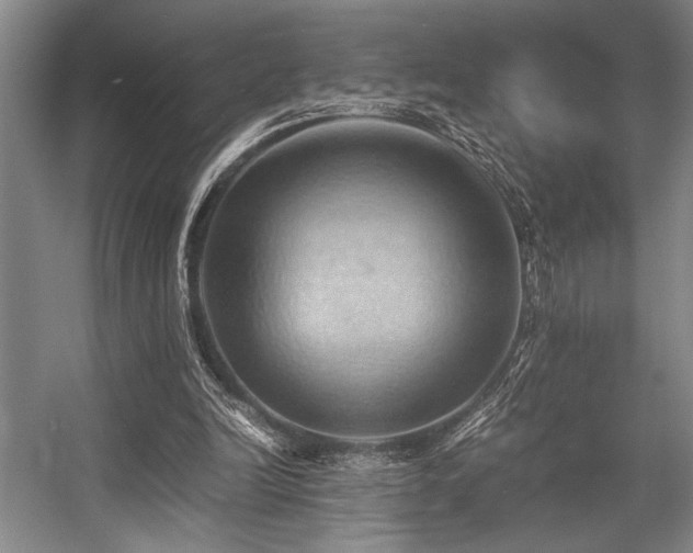 X0000057580246200509161109
