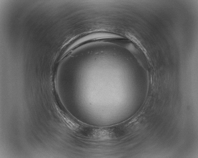 X0000057580249200509161109