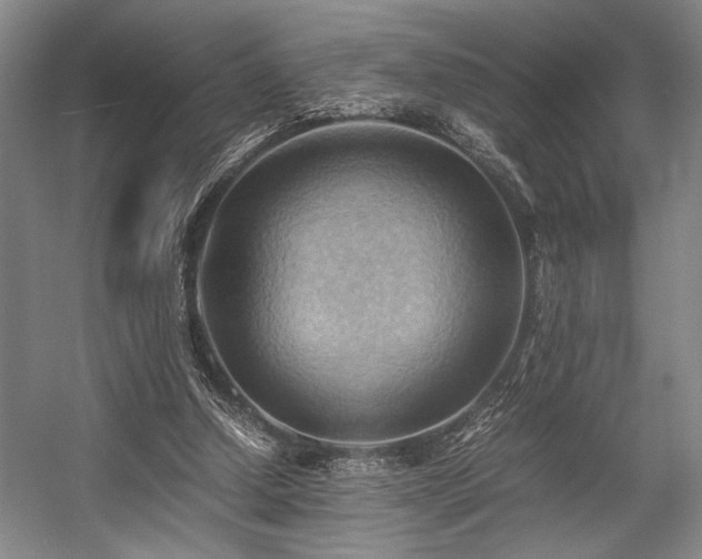 X0000057580250200509161109
