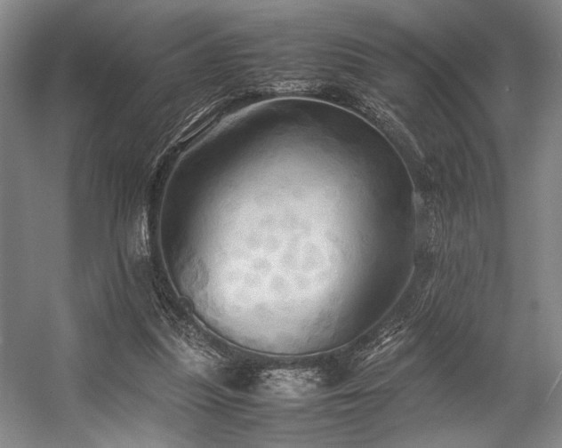 X0000057580251200509161109