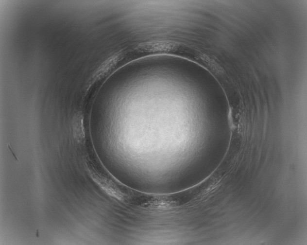 X0000057580254200509161109