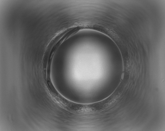 X0000057580256200509161109