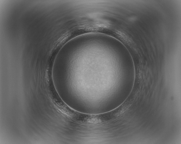X0000057580258200509161109
