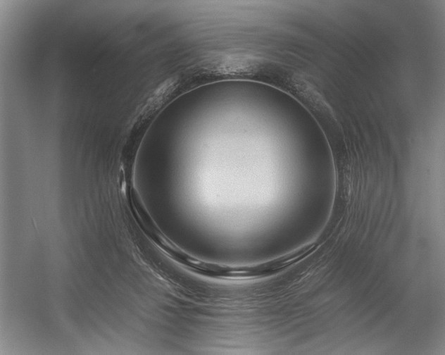 X0000057580260200509161109
