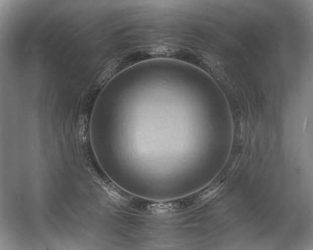 X0000057580273200509161110