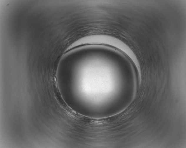 X0000057580277200509161110