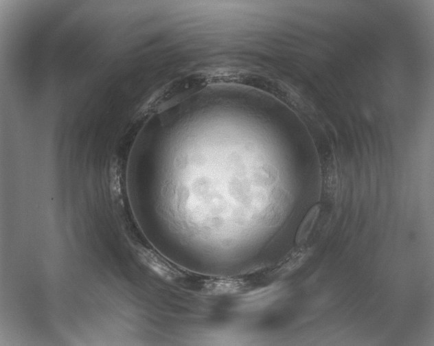 X0000057580282200509161110