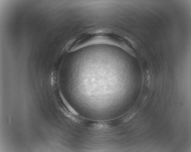 X0000057580284200509161110