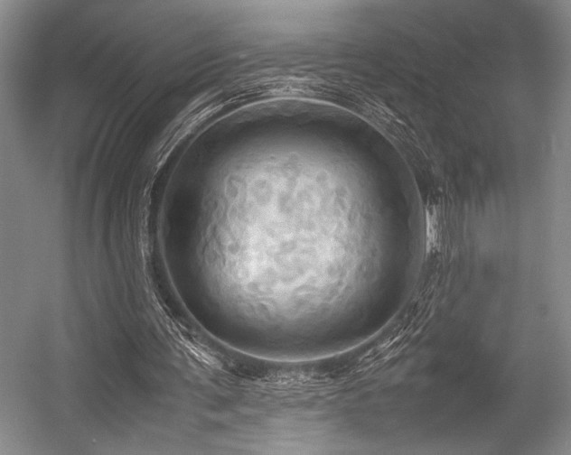 X0000057580291200509161109