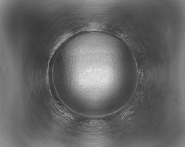 X0000057580292200509161109