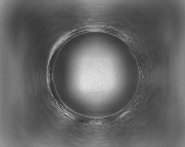 X0000057580294200509161109