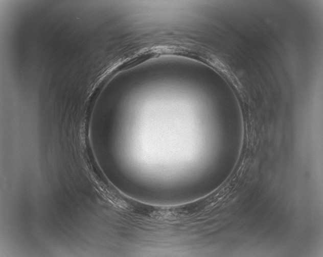 X0000057580297200509161109