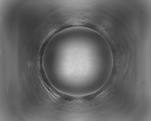 X0000057580299200509161109