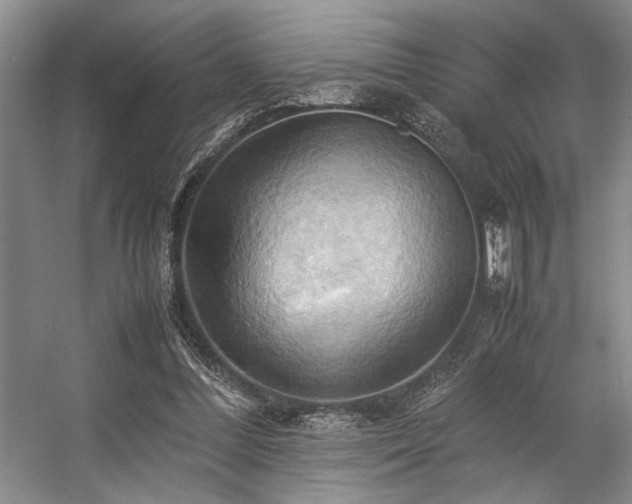X0000057580300200509161109