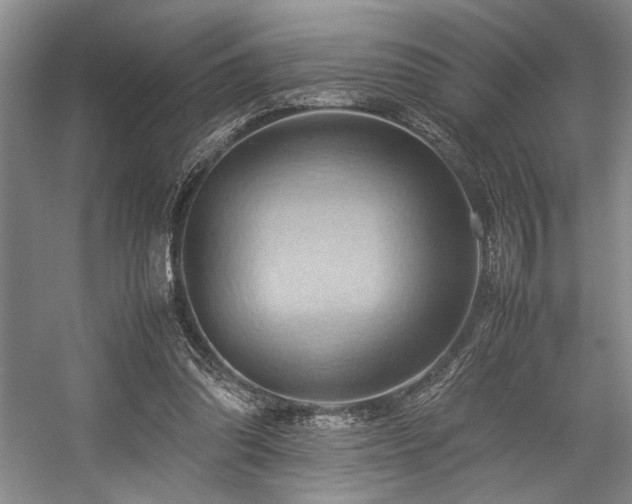X0000057580302200509161109