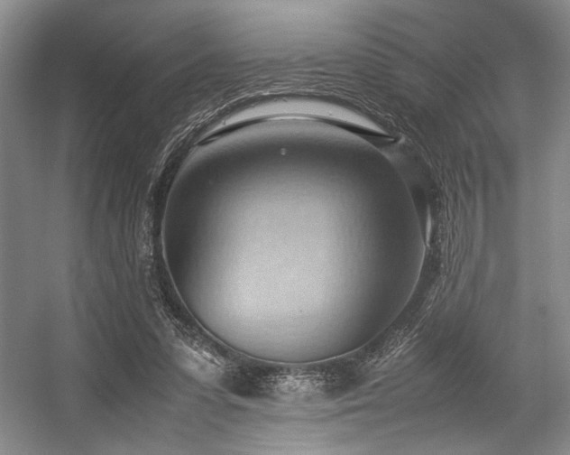 X0000057580303200509161109