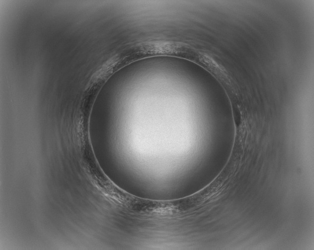 X0000057580306200509161109