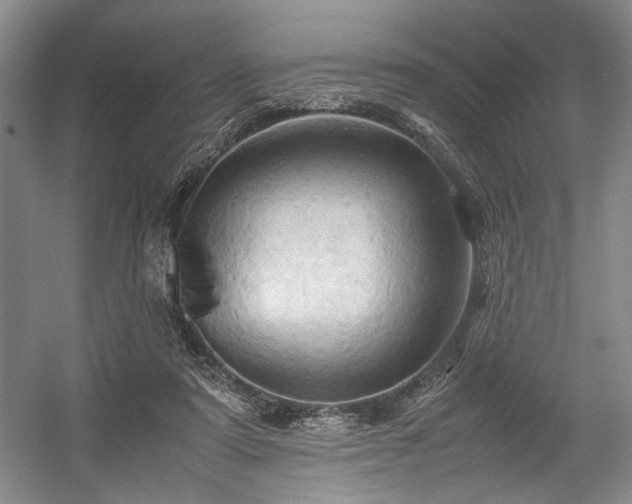 X0000057580307200509161109