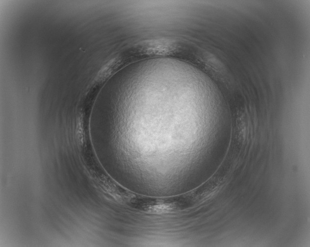 X0000057580312200509161109